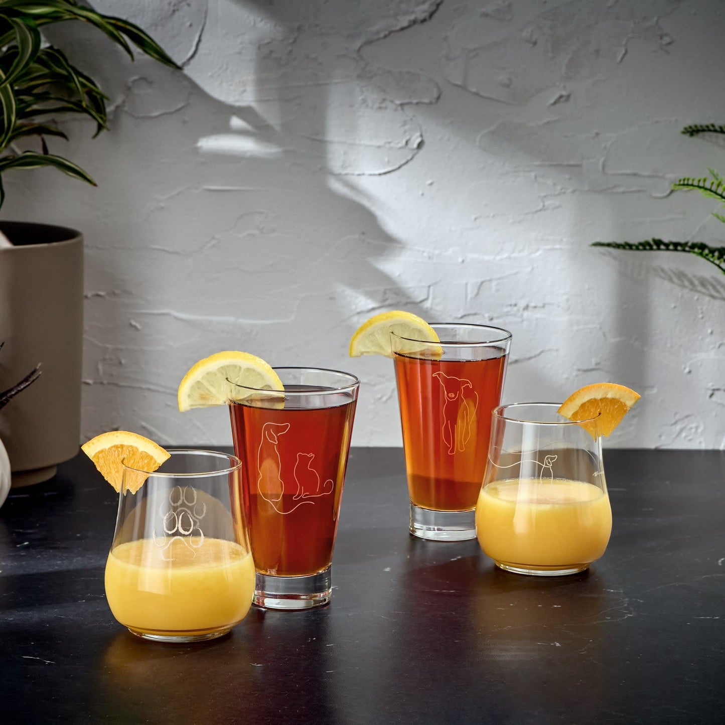 Libbey Modern Pets Posh Paw Glasses, 17oz