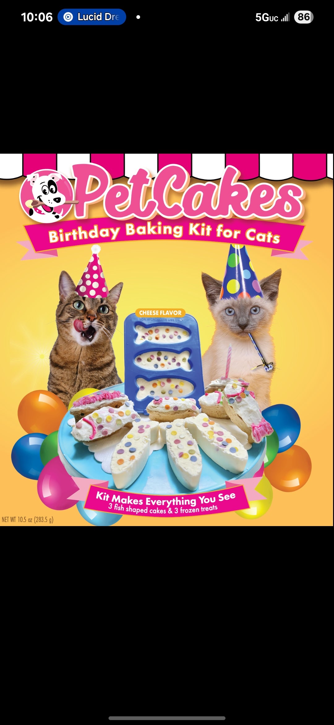 Pet Party